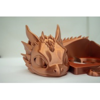 dragon_toni2